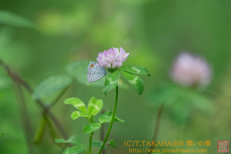 ../Images/7R240922 (205).jpg